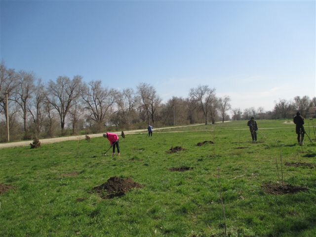 IMG 1386