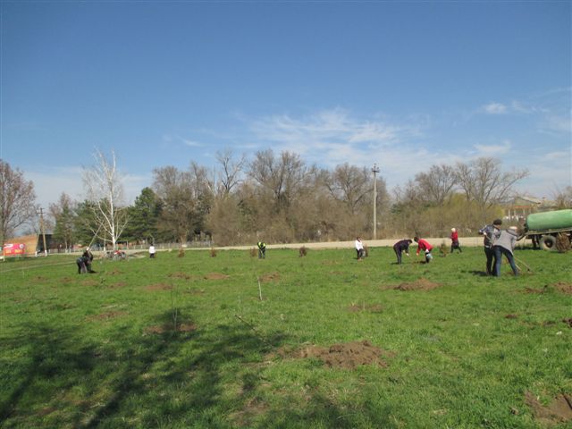 IMG 1387