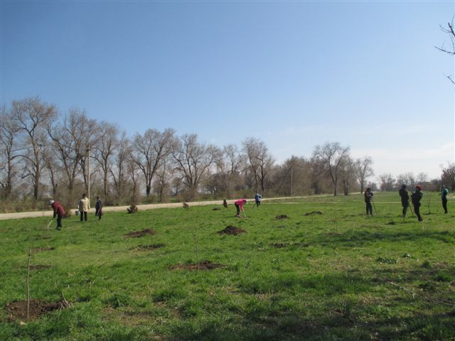 IMG 1388