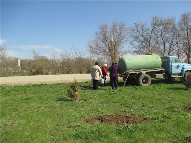 IMG 1393