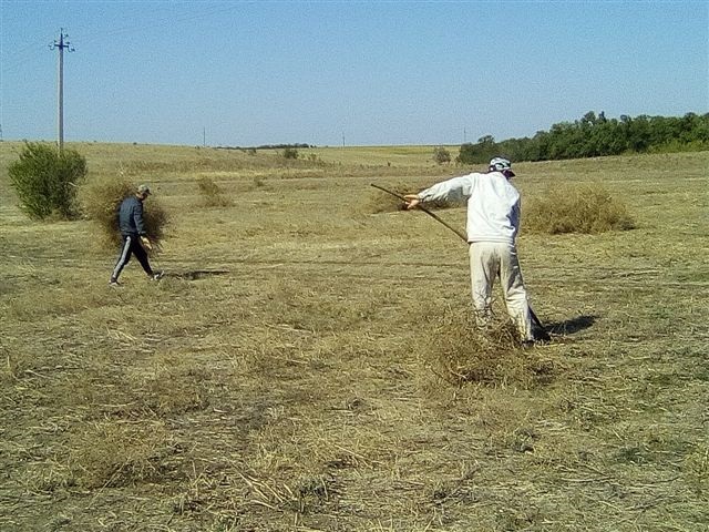 IMG 20170929 132445