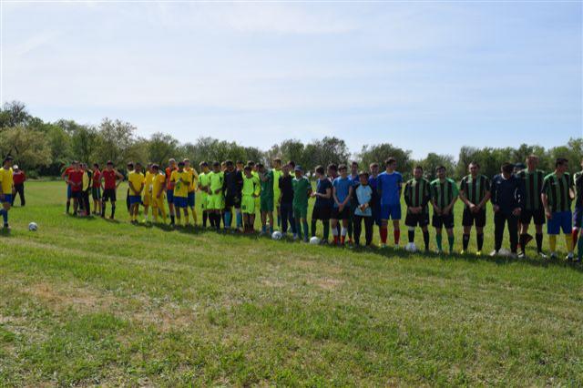 ytdfc 133 1