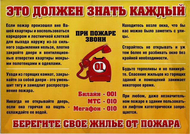 foto 08 06 2021 11 19 6
