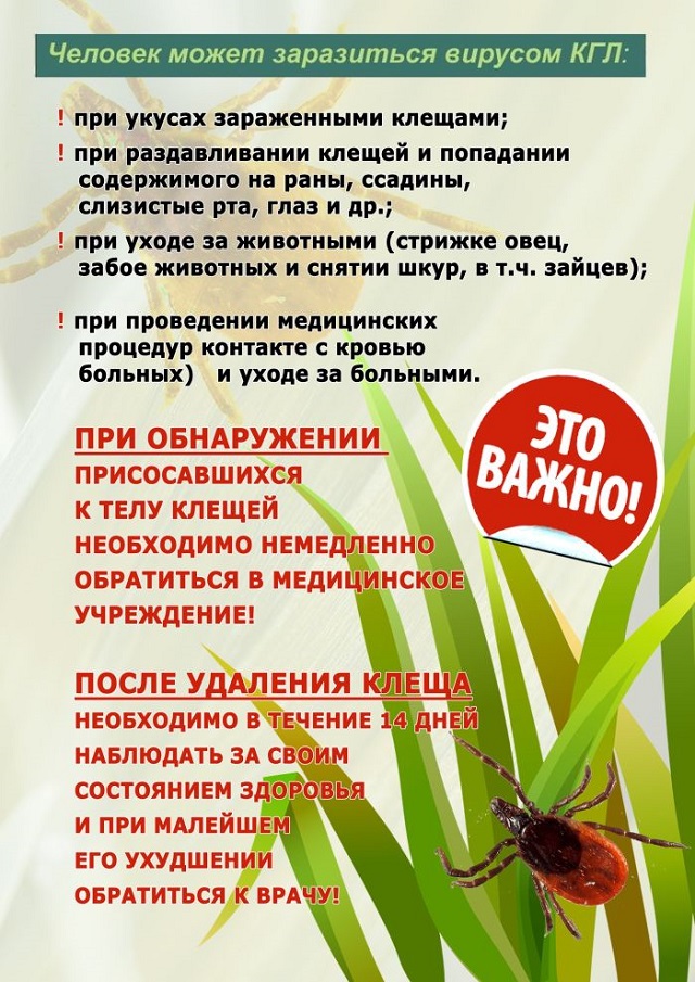 foto 13 04 2021 11 23 1