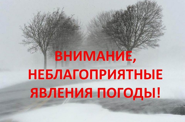 foto 14 01 2022 13 14 3