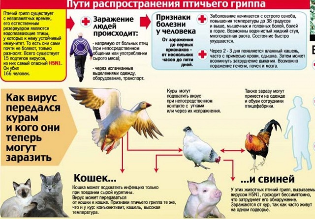 foto 16 09 2022 14 37 4