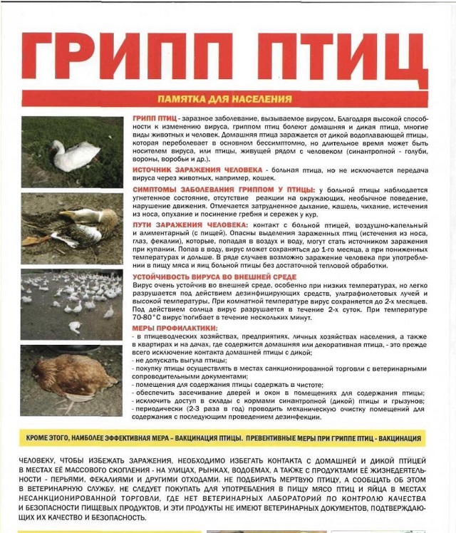 foto 16 09 2022 14 37 5