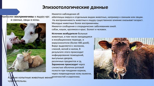 foto 25 04 2023 11 52