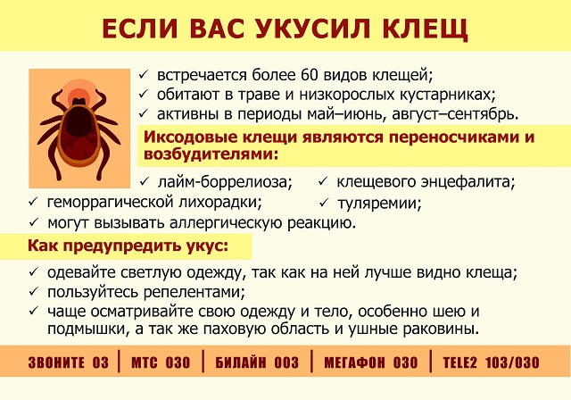 foto 11 08 2023 11 06