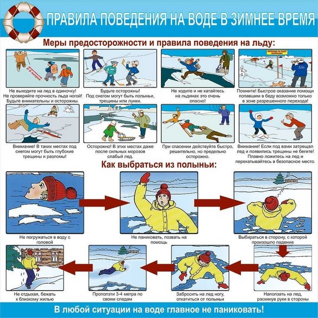 foto 11 57 19 11 2024 1