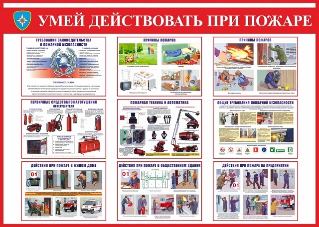 foto 2024 12 25 14 28 7