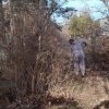 В рамках месячника чистоты проводятся субботники по наведению санитарного порядка на территории поселения! 