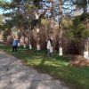 В рамках месячника чистоты проводятся субботники по наведению санитарного порядка на территории поселения! 