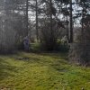 В рамках месячника чистоты проводятся субботники по наведению санитарного порядка на территории поселения! 