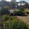 24.07.2025 г. субботник на территории памятника \"Вечно живым\"