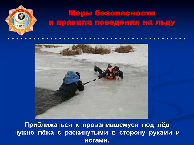 foto 2025 03 11 09 58 6