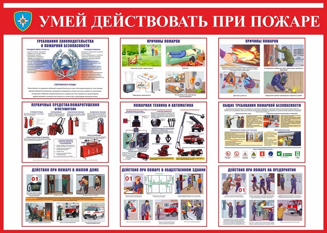 foto 2025 04 15 10 29 7